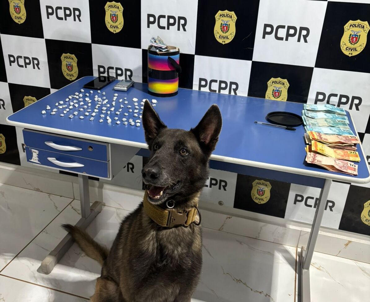 PCPR e PMPR prendem cinco pessoas durante operação deflagrada contra o tráfico de drogas no Oeste 