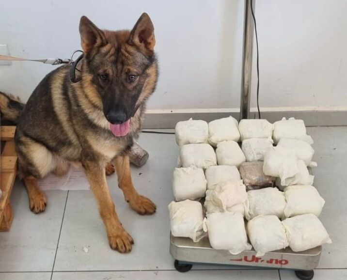 PCPR apreende 11 quilos de haxixe e prende homem em flagrante em Cascavel 