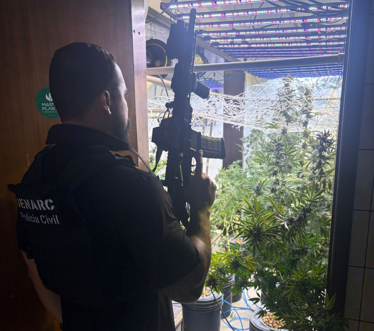 PCPR localiza laboratório de cultivo de maconha e prende três pessoas em Curitiba