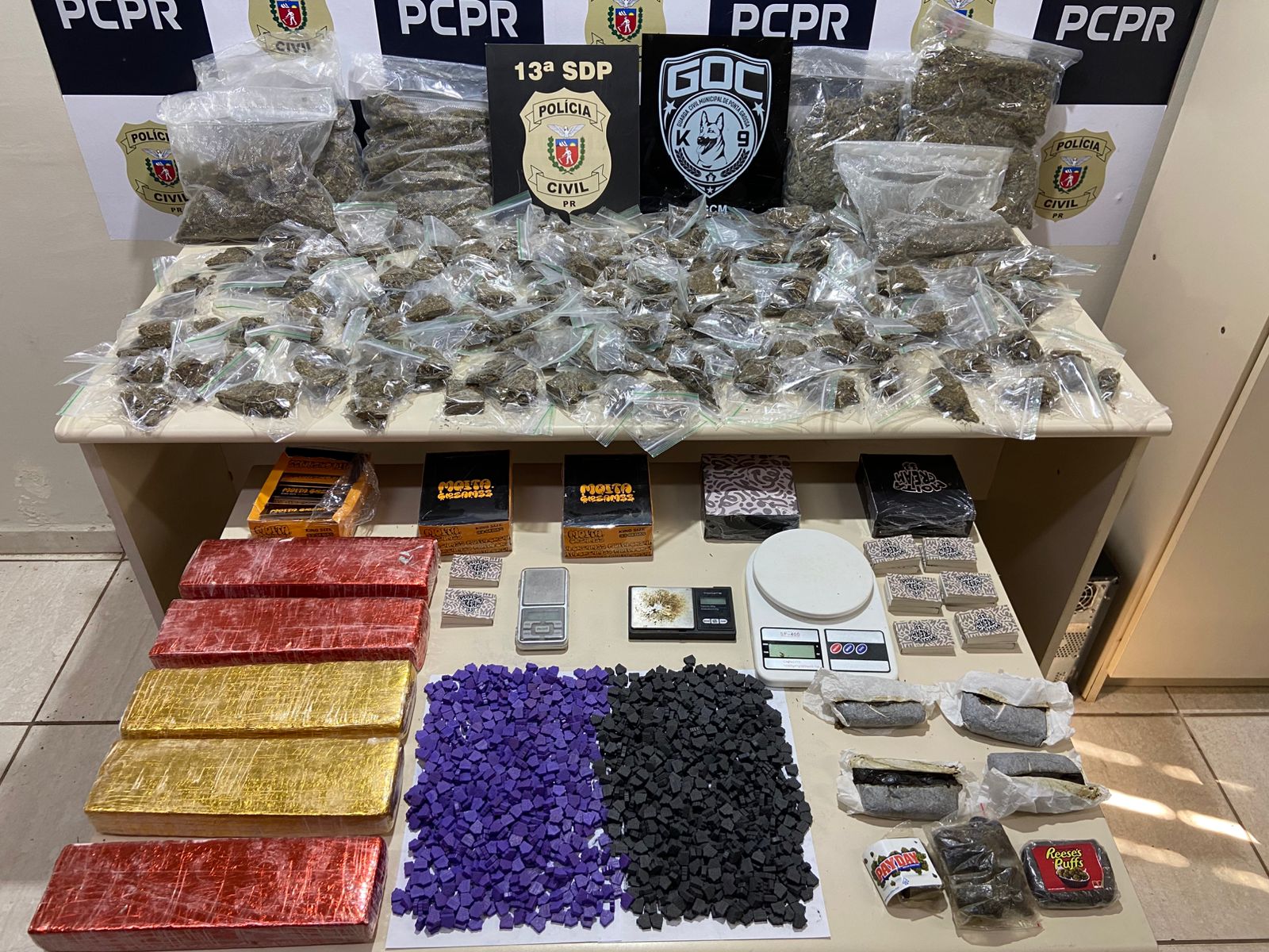 PCPR e GCM apreendem 11 quilos de maconha e prendem homem em flagrante em Ponta Grossa