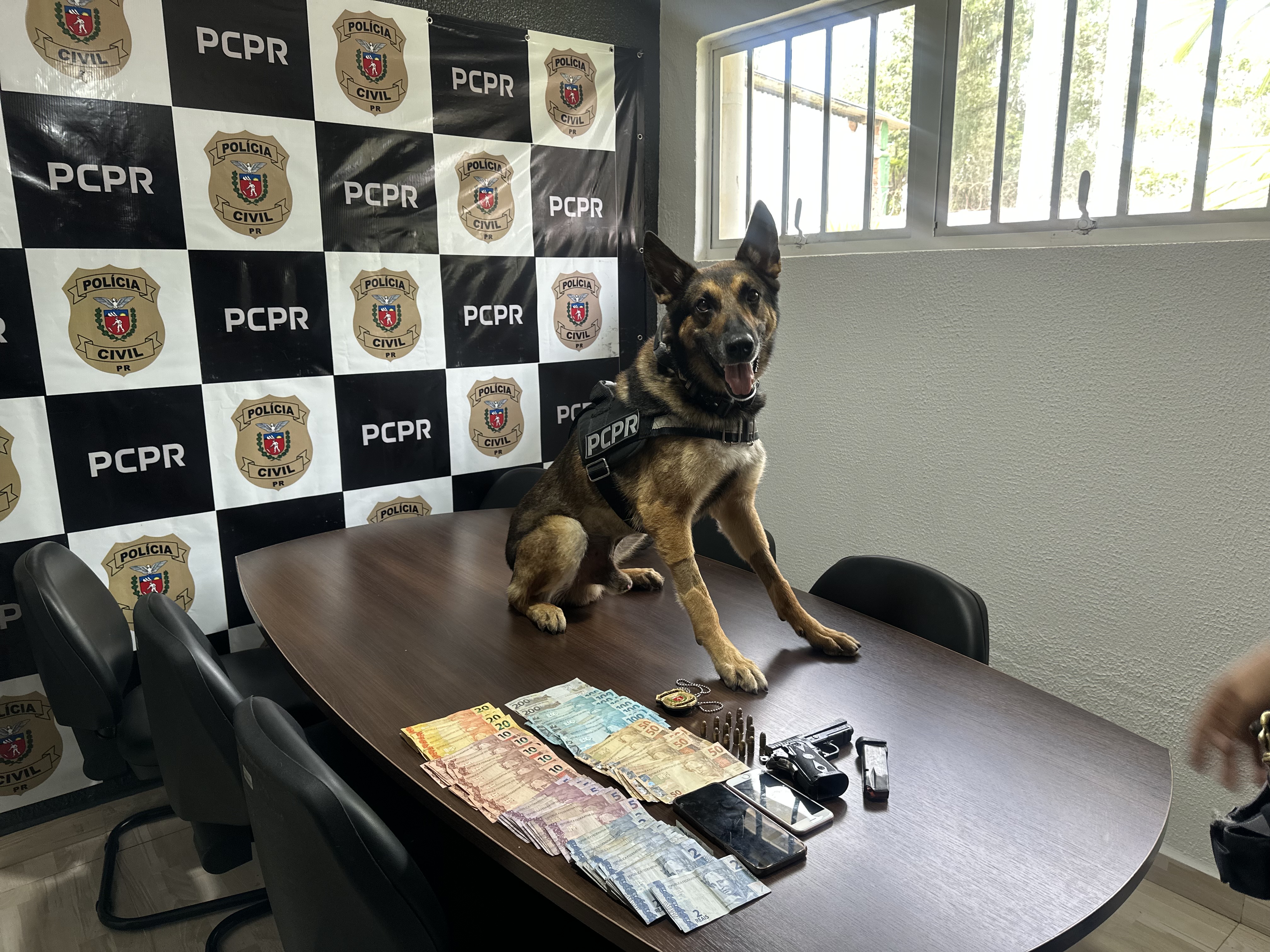 PCPR inspira criação de data oficial em homenagem aos cães operacionais da segurança pública 