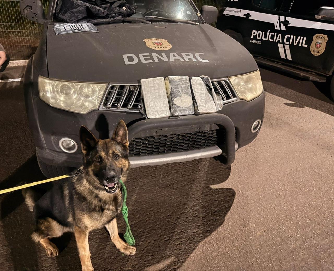 Com trabalho de cão de faro, PCPR localiza 3 quilos de cocaína e prende dois homens em flagrante
