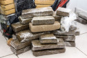 Tabletes de droga apreendidos