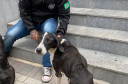Animal com ossos em evidência