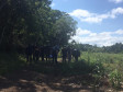 Agentes da segurança caminhando em local da reconstituição do crime