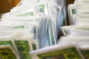 Centenas de documentos em caixas