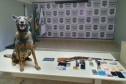 Cão farejador da polícia civil e objetos apreendidos, sobre uma mesa