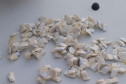 Dezenas de trouxas de droga sobre o capô de um veículo