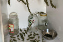 Potes de vidro, tigela e galhos de maconha em prateleira