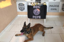 Cão farejador sentado no chão e materiais apreendidos, sobre uma mesa