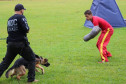Cão em treinamento