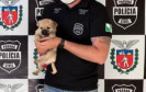 Cão