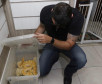 Policial civil observa serpente presa no interior de uma caixa