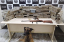 Cão farejador da polícia civil em frente a uma mesa com diversos tabletes de droga e armas