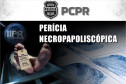Perícia Necropapiloscópica identifica as 8 vítimas fatais da tragédia na BR-277