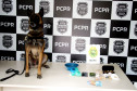 PCPR e PMPR prendem 15 envolvidos com tráfico de drogas