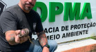 Policial civil segurando cobra resgatada