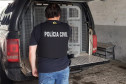 PCPR e GM prendem suspeitos e apreendem drogas em Ponta Grossa 