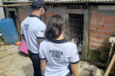 Dois policiais civis observam cães em situação de maus-tratos