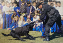 Dia do Policial Civil veterano