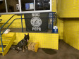 Cão policial apreende droga em bagagem