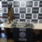 Cão policial da PCPR colabora em apreensão de droga