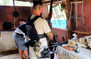 PCPR apreende armas e munições em Guaratuba