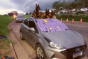 Cães policiais sobre veiculo com droga apreendida