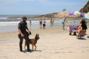 Caes policiais da PCPR no litoral