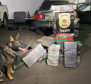 Cão da PCPR aparece em foto com maconha apreendida