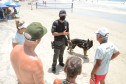 Operação verão
