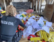 PCPR incinera mais de 700 quilos de drogas em Ponta Grossa