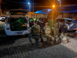 OPERAÇÃO HÓRUS: PCPR, PMPR, PRF e PF apreendem 666 quilos de maconha em Goioerê 