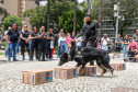 PCPR na Comunidade participa de evento de orientações a imigrantes e refugiados em Curitiba