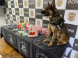 PCPR prende dois suspeitos de tráfico de drogas em Curitiba