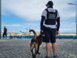 PCPR realiza fiscalização com auxílio de cães policiais no Litoral 