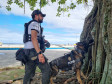 PCPR realiza fiscalização com auxílio de cães policiais no Litoral 