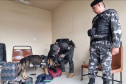 Operação da Sesp integra policiais militares e civis em ações contra o tráfico de drogas