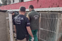 PCPR salva 300 cães em maior ação de resgate da história do Paraná 