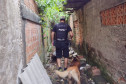 Policial civil em busca com cão policial
