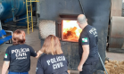 PCPR incinera mais de 1 tonelada de drogas em Iporã 