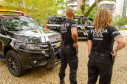 PCPR apreende drogas e prende suspeitos em Curitiba e RMC 