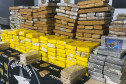 PCPR apreende mais de 300 quilos de drogas em Cascavel 