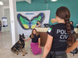 PCPR na Comunidade leva serviços de polícia judiciária para mais de 900 pessoas em Campo Largo