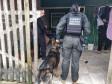 PCPR e PMPR prendem 20 pessoas em operação contra organização criminosa ligada ao tráfico de drogas no Centro de Curitiba  