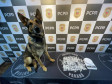 PCPR e PMPR prendem 20 pessoas em operação contra organização criminosa ligada ao tráfico de drogas no Centro de Curitiba  