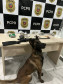 PCPR prende dois homens em flagrante por tráfico de drogas em Antonina 