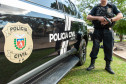 PCPR e PMPR deflagram ação contra tráfico de drogas e receptação em Ibaiti