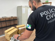PCPR realiza 16,6 mil procedimentos de polícia judiciária no Verão Maior Paraná