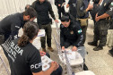 PCPR prende 17 pessoas por tráfico de drogas durante operação em Coronel Vivida